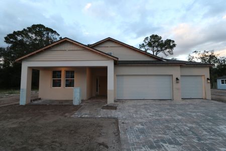 New construction Single-Family house 20219 Oriana Loop, Land O' Lakes, FL 34638 Corina  III- photo 15 15