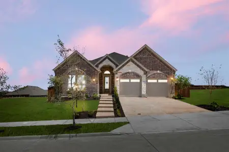 New construction Single-Family house 1227 Stone Cliff Dr, Lucas, TX 75098 plan Mockingbird F - image