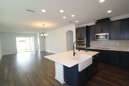 New construction Single-Family house 33227 Amling Pecan Br, Wesley Chapel, FL 33545 Newport II- photo 57 57