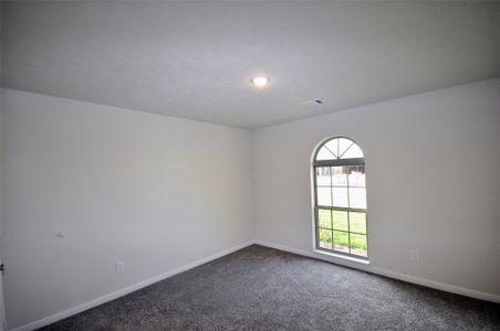 New construction Single-Family house 2101 Palmilla Rd, League City, TX 77539 Plan 417- photo 14 14