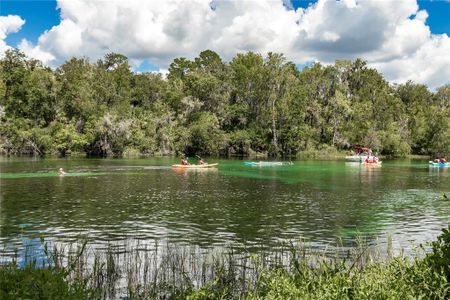 New construction Single-Family house 19610 Sw 93Rd Pl, Dunnellon, FL 34432 null- photo 52 52