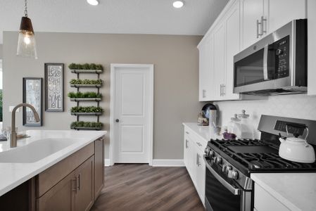 New construction Single-Family house 26 Owenlee Ct, Nocatee, FL 32081 plan The Jackson - image 15