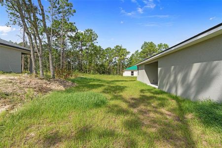 New construction Single-Family house 2701 W Tracy Ct, Citrus Springs, FL 34433 - image