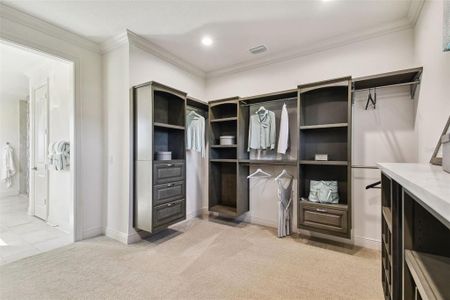 New construction Single-Family house 5333 Lake Venice Dr, Wimauma, FL 33598 - image 16