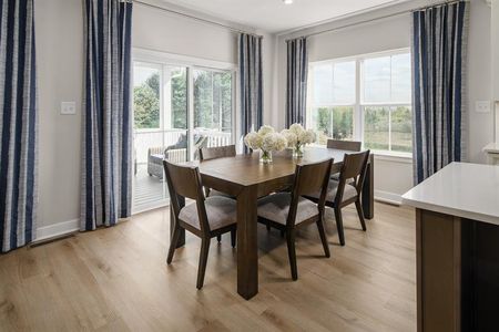 New construction Single-Family house 1010 Lacebark Dr, Ridgeville, SC 29472 plan Lehigh - image 4