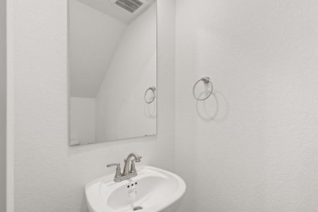 New construction Single-Family house 215 Flora Springs Cv, Liberty Hill, TX 78642 plan Cheverny - Augustine Collection - image 12