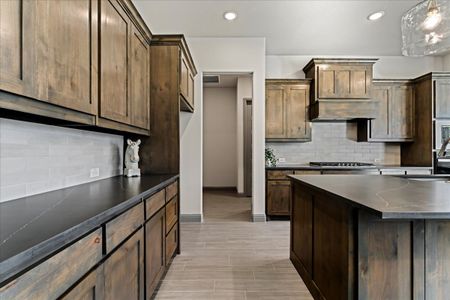 New construction Single-Family house 131 Spring Valley Rnch, Paradise, TX 76073 plan The Aylin - image 13