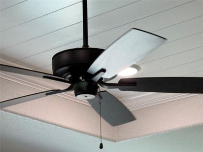 New construction Single-Family house 5314 Lassen Ln, Belton, TX 76513 - image 11