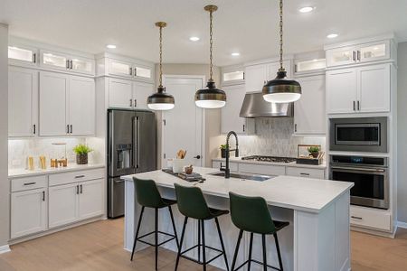 New construction Single-Family house 201 Barton Oak Trl, Georgetown, TX 78628 plan Sienna - image