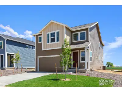 New construction Single-Family house 737 Muturu Rd, Johnstown, CO 80534 plan Violet - image