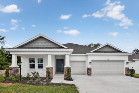 New construction Single-Family house 6913 Prairie Oak Wy, Nokomis, FL 34275 plan Java - image