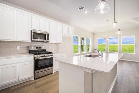New construction Single-Family house 2048 Twin Lakes Blvd, West Columbia, TX 77486 - image 5