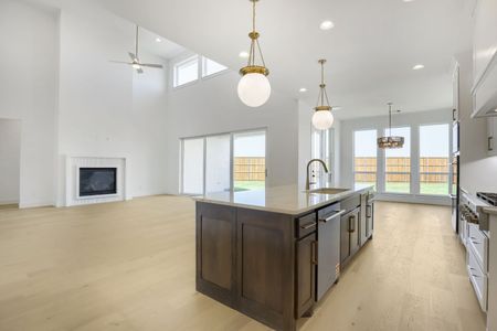 New construction Single-Family house 791 Falls Dr, Prosper, TX 75078 plan 1640 - image 9