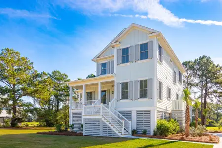 New construction Single-Family house 1130 Theodore Brunson Rd, Awendaw, SC 29429 - image