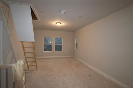 New construction Single-Family house 108 Red Camella Dr, Georgetown, TX 78628 Trinity II - C- photo 8 8