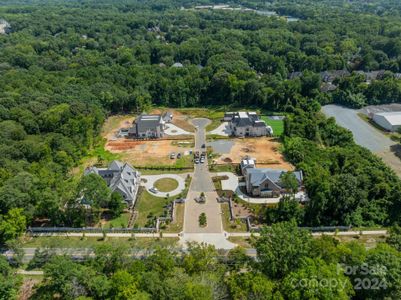 New construction Single-Family house 8022 Litaker Manor Court, Charlotte, NC 28270 - photo 2 2