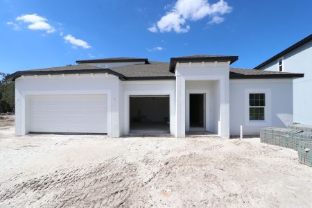 New construction Single-Family house 9603 Crescent Ray Dr, Wesley Chapel, FL 33545 Barcello Bonus- photo 8 8