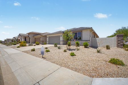 New construction Single-Family house 31564 N Singing Meadow Ln, San Tan Valley, AZ 85143 plan Falcon - image