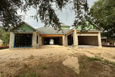 New construction Single-Family house 1525 Granville Dr, Winter Park, FL 32789 - image