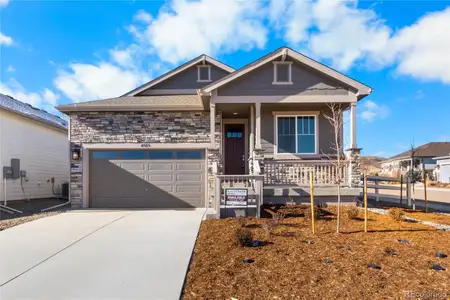 New construction Single-Family house 4515 Westlock St, Castle Rock, CO 80104 - image 2