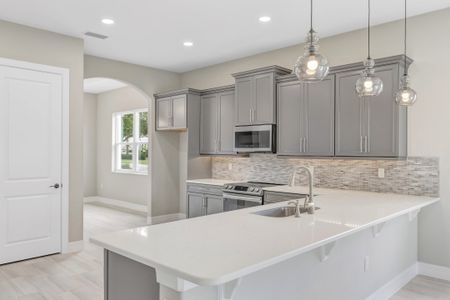 New construction Single-Family house 51 E Diamond Dr, Palm Coast, FL 32164 plan Birkdale - image 10