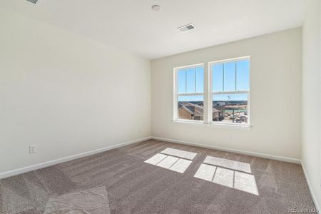 New construction Single-Family house 4687 Twelve Oaks Way, Castle Rock, CO 80104 Dillon II- photo 20 20