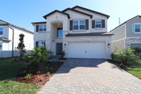 New construction Single-Family house 38338 Tobiano Loop, Dade City, FL 33525 Mira Lago- photo 155 155