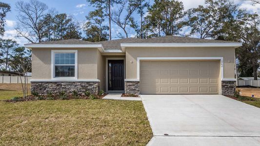 New construction Single-Family house 3831 Turning Tides Terrace, Bradenton, FL 34208 - photo 0