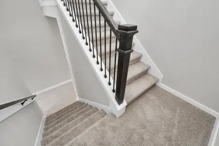 New construction Single-Family house 15111 Statice Trl, Houston, TX 77044 plan PLAN 254 - image 19
