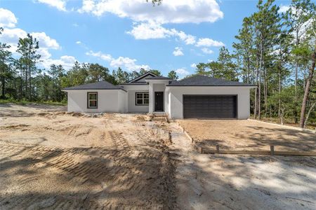 New construction Single-Family house 13359 Sw 80Th Street, Dunnellon, FL 34432 - photo 0