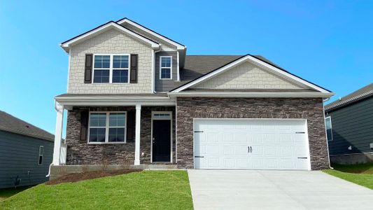 New construction Single-Family house 8136 Jude Dr, White House, TN 37188 plan Salem - image