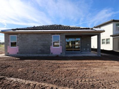 New construction Single-Family house 1654 Suttonset Trl, Zephyrhills, FL 33541 plan Newport II - image