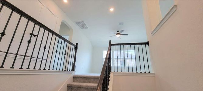 New construction Single-Family house 4644 Padula Dr, Round Rock, TX 78665 null- photo 13 13