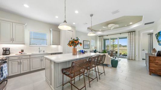 New construction Multi-Family house 10025 Hammock Brook Dr, Parrish, FL 34219 plan Crystal Sand 2 - image 9