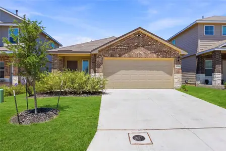 New construction Single-Family house 4523 Bontebok, Converse, TX 78109 - image