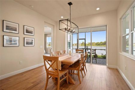 New construction Single-Family house 10037 Hammock Brook Dr, Parrish, FL 34219 - image 7