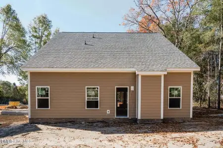 New construction Single-Family house 221 Telluride Ct, Aberdeen, NC 28315 - image