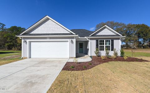 New construction Single-Family house 207 Hill Valley Dr, Unit Lot 59, La Grange, NC 28551 - image