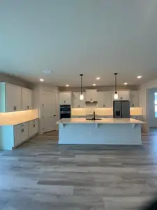 New construction Single-Family house 9493 Emerald Berry Dr, Winter Garden, FL 34787 - image 3