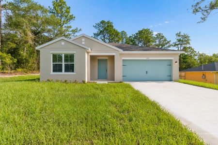 New construction Single-Family house 1591 W Dolores Dr, Citrus Springs, FL 34434 plan Daffodil IV - image