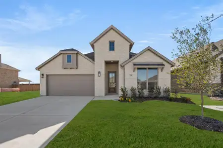 New construction Single-Family house 478 Red Maple Rd, Waxahachie, TX 75165 plan Sorrento - image