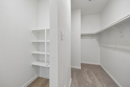 New construction Single-Family house 25260 Leather Leaf Ct, Montgomery, TX 77316 - image 10