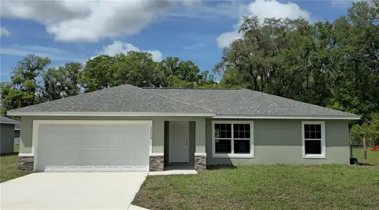 New construction Single-Family house 14260 Se 34Th Ct, Summerfield, FL 34491 - image