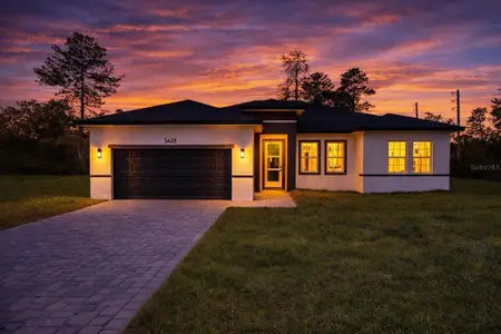 New construction Single-Family house 3428 Sw 165Th Lp, Ocala, FL 34473 - image