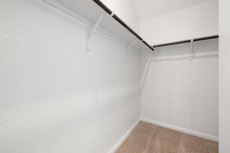 New construction Single-Family house 168 Rieber Rd, Kyle, TX 78640 plan Foxglove - image 13