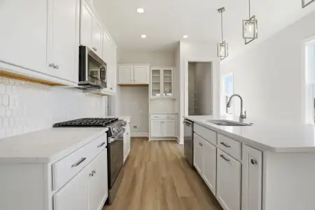 New construction Single-Family house 207 Patagonia Pl, Locust, NC 28097 plan Caroline - image 5