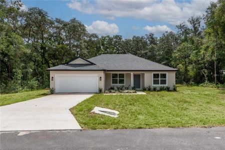 New construction Single-Family house 5 Locust Loop Terrace, Ocala, FL 34472 - photo 0