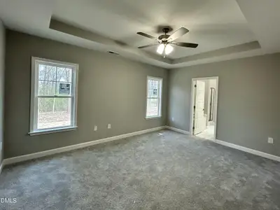New construction Single-Family house 1775 Walnut Run Dr, Deep Run, NC 28525 - image