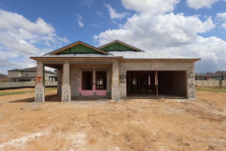 New construction Single-Family house 12290 Stirrup Dr, Dade City, FL 33525 plan Picasso - image