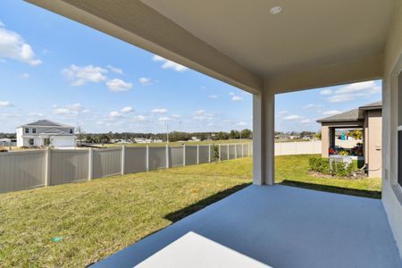 New construction Single-Family house 12227 Hilltop Farms Dr, Dade City, FL 33525 Sentinel- photo 177 177